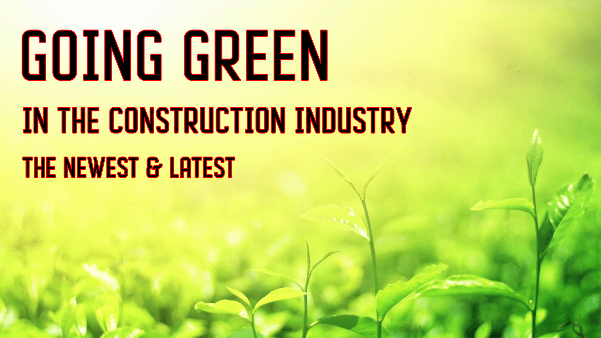 GREEN CONSTRUCTION: A WAY FORWARD?